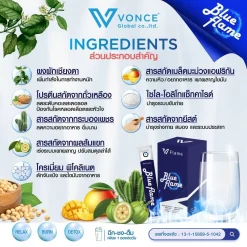 blue-flame-vflame-บูล-เฟลม-วีเฟลม
